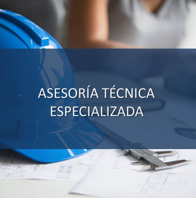 ASESORÍA TÉCNICA ESPECIALIZADA